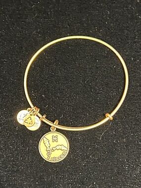 Alex and Ani Gold Pisces Zodiac Charm Bangle